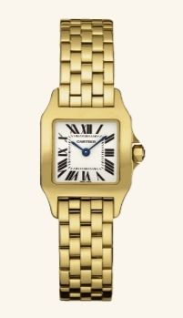 W25063X9 Cartier Santos De Cartier