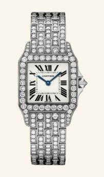 WF9010YA Cartier Santos De Cartier