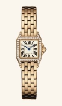WF9011Z8 Cartier Santos De Cartier
