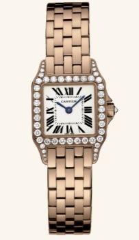 WF9008Z8 Cartier Santos De Cartier
