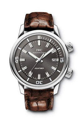iw3231-04 IWC Vintage
